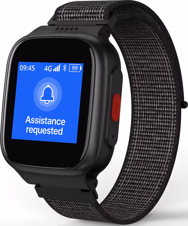 Device Alarm Activation