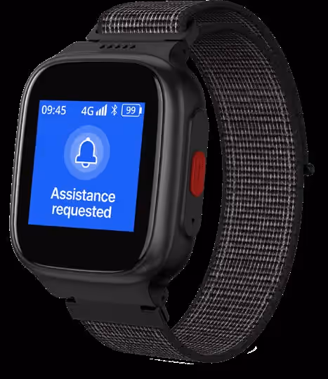 Watch Alert Notification